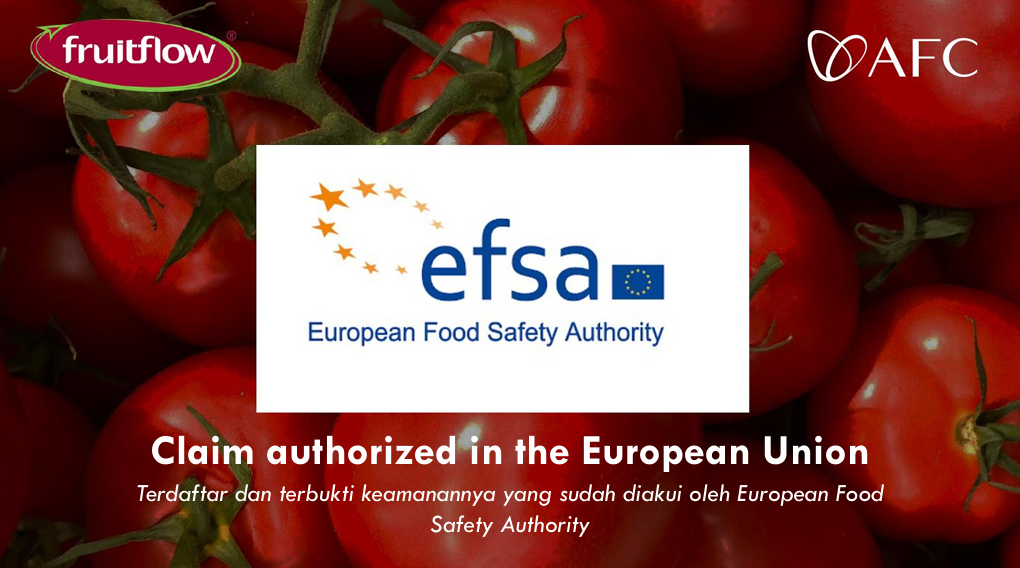 Screenshot 2026-03-03 023519